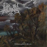 Lie In Ruins - Floating In Timeless Streams vinyl cover