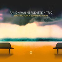 Lieven Venken - Merkenstein: Waiting for a Summer Storm vinyl cover