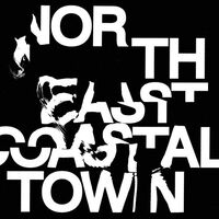 Life - North East Coastal Town vinyl cover