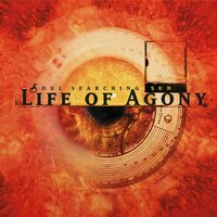 Life Of Agony - Soul Searching Sun  vinyl cover