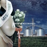 Ligabue - Miss Mondo vinyl cover