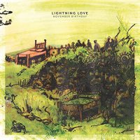 Lightning Love - November Birthday vinyl cover