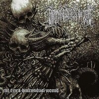 Lightning Swords of Death - The Extra Dimensional Wound vinyl cover