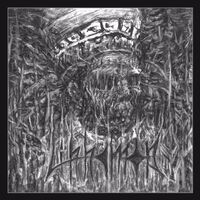 Lihhamon - Doctrine vinyl cover