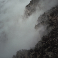 Like Rats - Ii vinyl cover