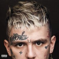 Lil Peep - Everybody's Everything vinyl cover
