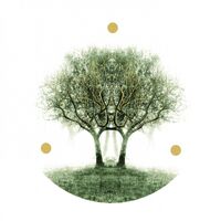 Lili Refrain - Ulu vinyl cover