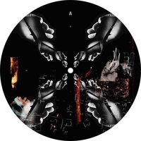 Lilly Palmer - We Control vinyl cover