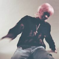 Lily Allen - No Shame vinyl cover