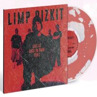 Limp Bizkit - Rock in the Park 2001: The Liquid vinyl cover