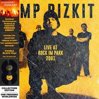 Limp Bizkit - Rock in the Park 2001 vinyl cover
