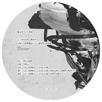 Linkan Ray - Universal Language vinyl cover
