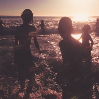 Linkin Park - One More Light vinyl cover