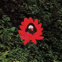 Lionmilk - WHEN THE FLOWERS BLOOM vinyl cover