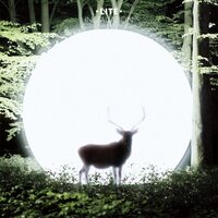 Lite - Installation vinyl cover