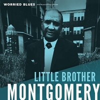 Little Brother Montgomery - Worried Blues vinyl cover