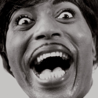 Little Richard - Mono Box: Complete Specialty/vee-Jay Albums vinyl cover