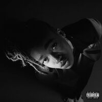 Little Simz - Grey Area vinyl cover