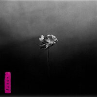 Little Simz - Lotus vinyl cover