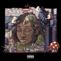 Little Simz - Stillness In Wonderland vinyl cover