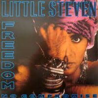 Little Steven - Freedom - No Compromise vinyl cover