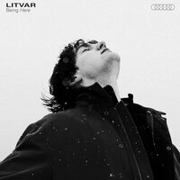 Litvar - Being Here vinyl cover
