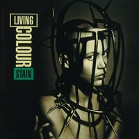 Living Colour - Stain Black vinyl cover