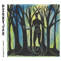 Liz Overs - Nightjar vinyl cover