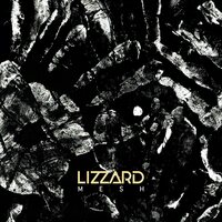 LizZard - Mesh vinyl cover