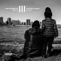 Lloyd Banks - The Course Of The Inevitable 3: Pieces Of My Pain vinyl cover