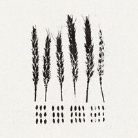 Lo! - Gleaners vinyl cover