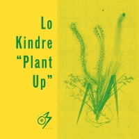 Lo Kindre - Plant Up vinyl cover