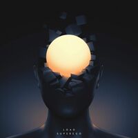 Load - Superego vinyl cover