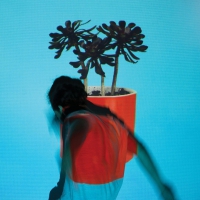 Local Natives - Sunlit Youth vinyl cover