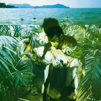 Local Natives  /  Sylvan Esso - Dark Days vinyl cover