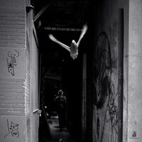 Lojii - Lofeye vinyl cover