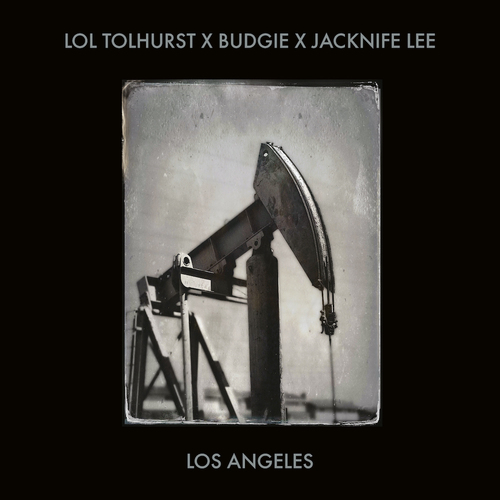 Lol Tolhurst - Los Angeles vinyl cover