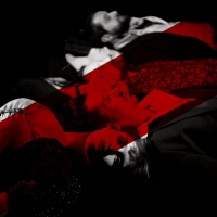 Lola Colt - Twist Through The Fire vinyl cover