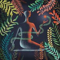 Loma - Don't Shy Away vinyl cover