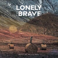 Lonely the Brave - What We Do To Feel vinyl cover