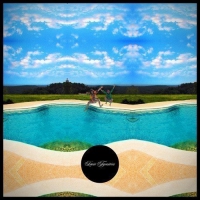 Loose Tapestries - N.h.s. vinyl cover