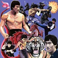 Lord Beatjitzu - Shanghai Express Aka Bruce Li's Greatest Punches vinyl cover