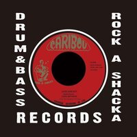 Lord Bryner - Lock And Key vinyl cover