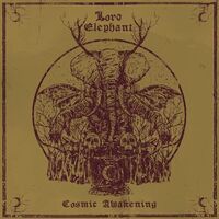 Lord Elephant - Cosmic Awakening vinyl cover