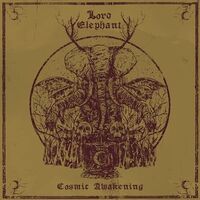 Lord Elephant - Cosmic Awakening vinyl cover