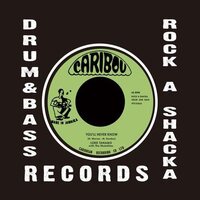 Lord Tanamo - You'll Never Know vinyl cover