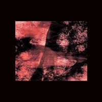 Loren Connors - Angels That Fall vinyl cover