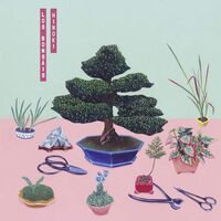 Los Bons Is - Hinoki vinyl cover