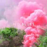 Los Campesinos! - No Blues vinyl cover