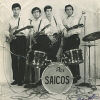Los Saicos - Demolicion vinyl cover